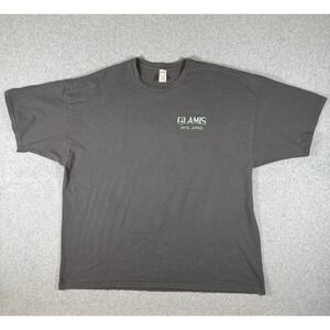 Glamis Sand Dunes UTV Off Road Graphic T Shirt Gray Men's 3XL